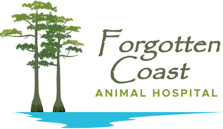 Forgotten Coast Animal Hospital